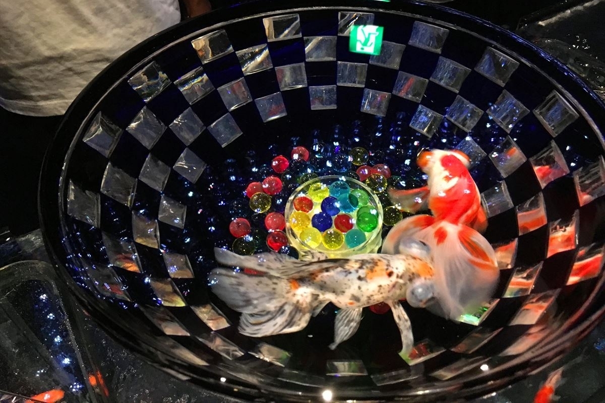 アートアクアリウム　金魚
