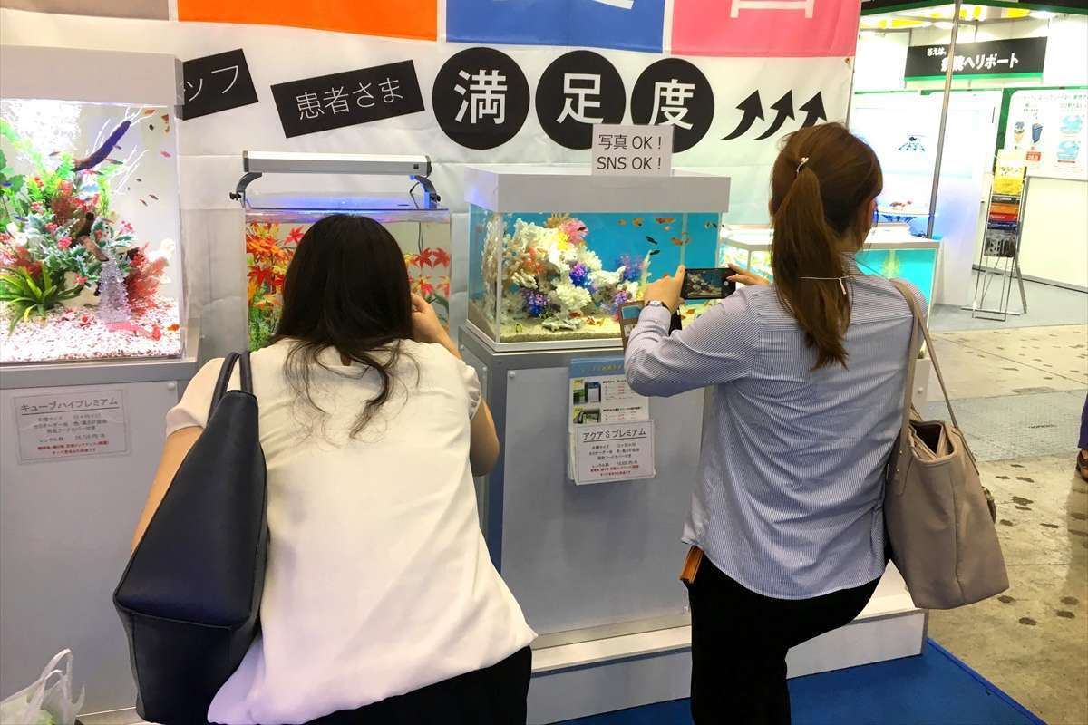 インスタ映え　水槽