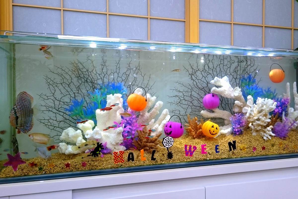 水槽　ハロウィン