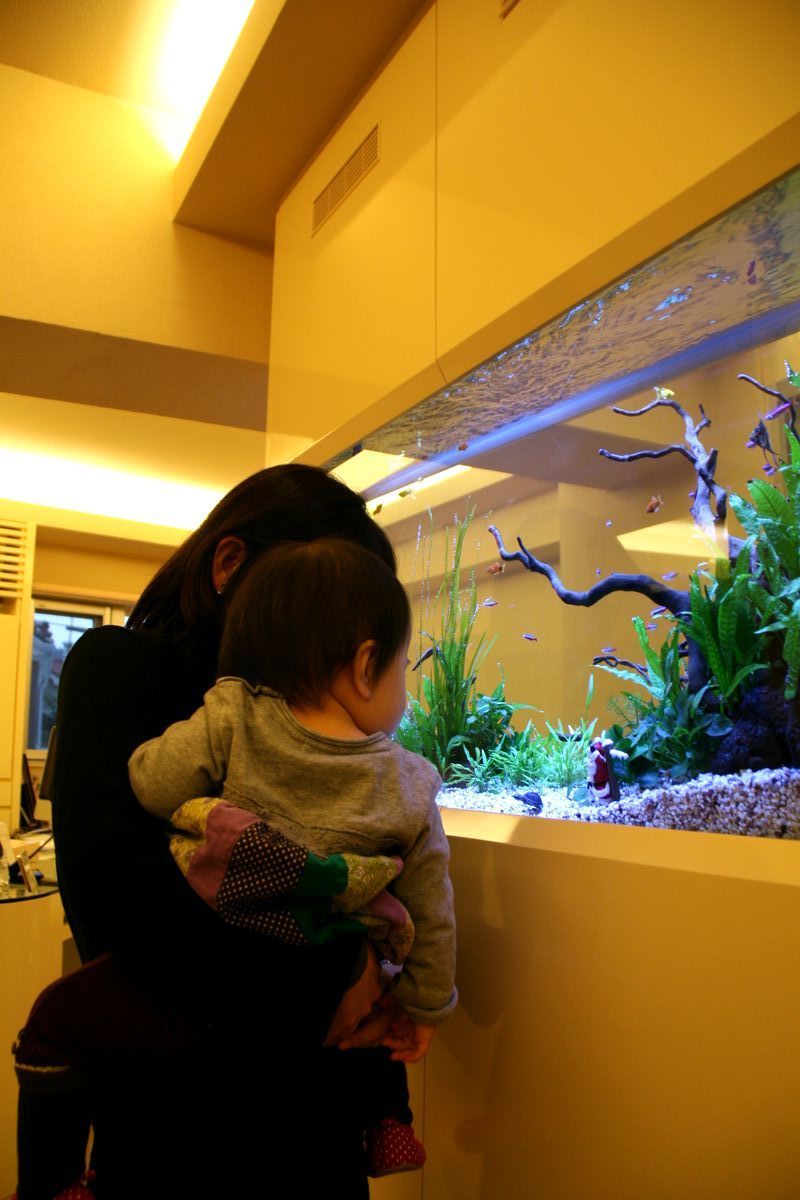 水槽の効果