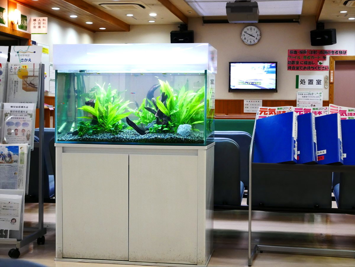 病院待合室　熱帯魚