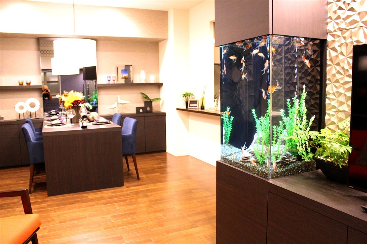 組込み水槽　金魚