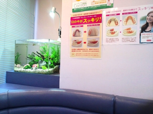 埼玉県富士見市　歯科医院の水槽