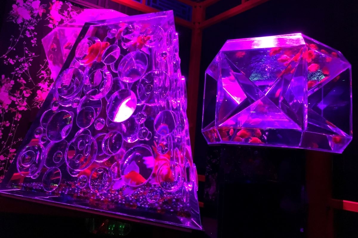 ポップ金魚水槽