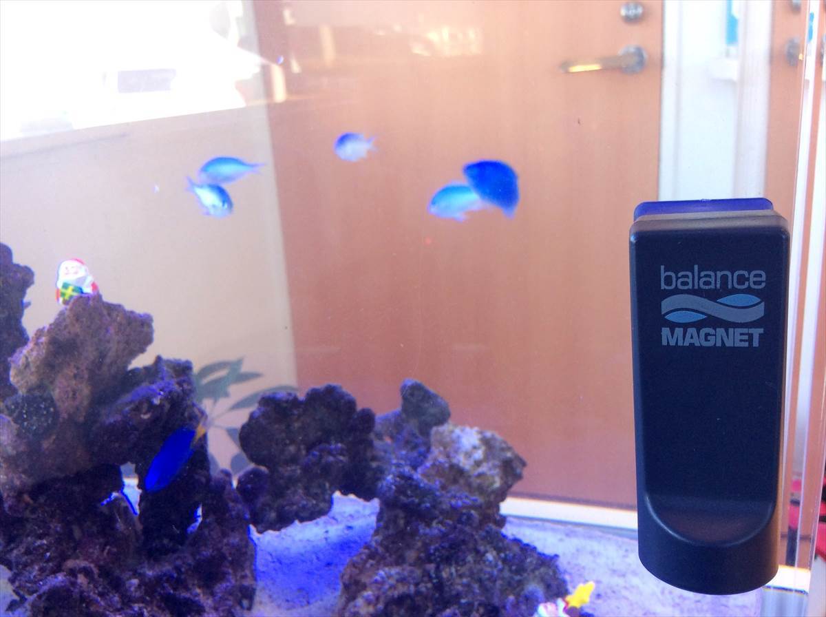 バランスマグネット　水作