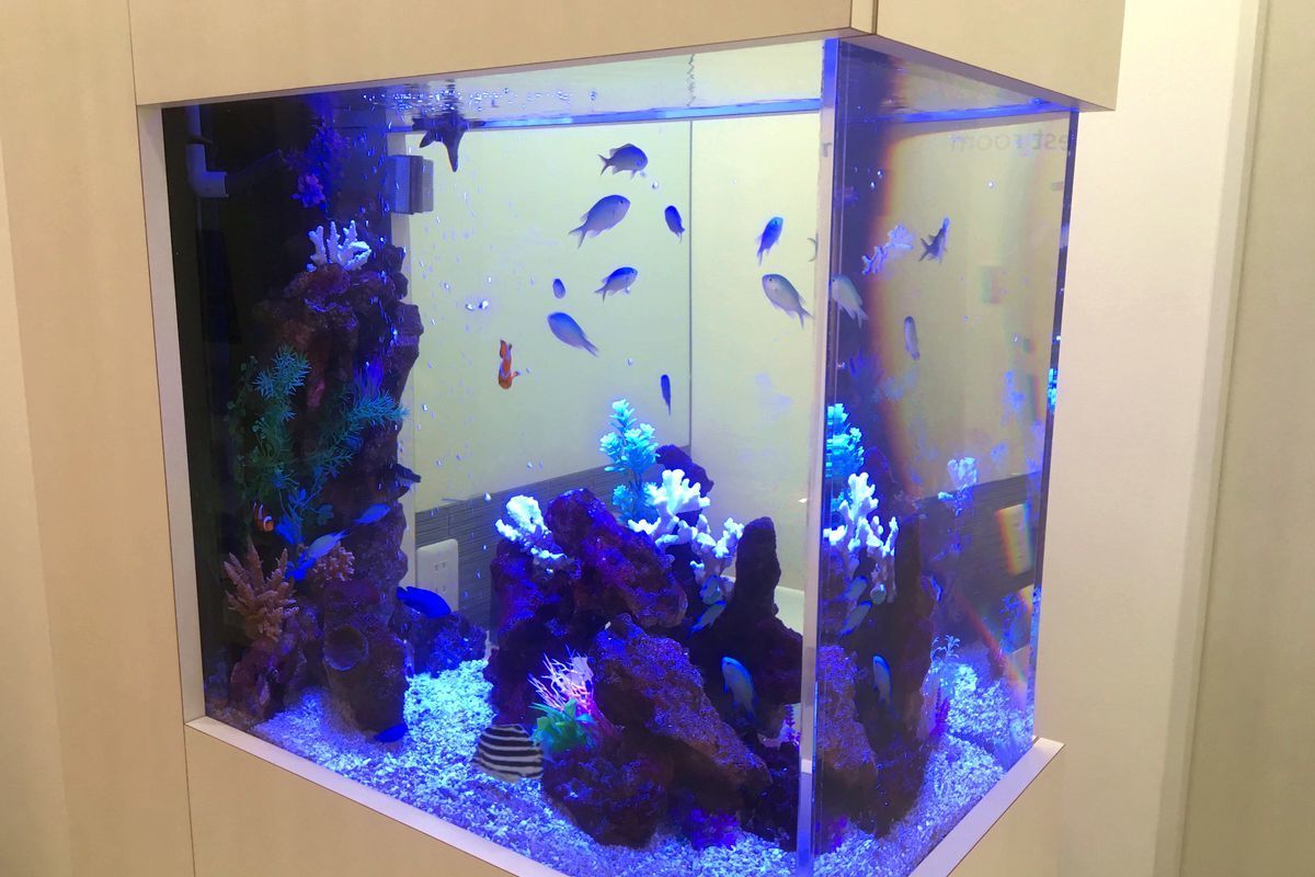 デンタルクリニック水槽