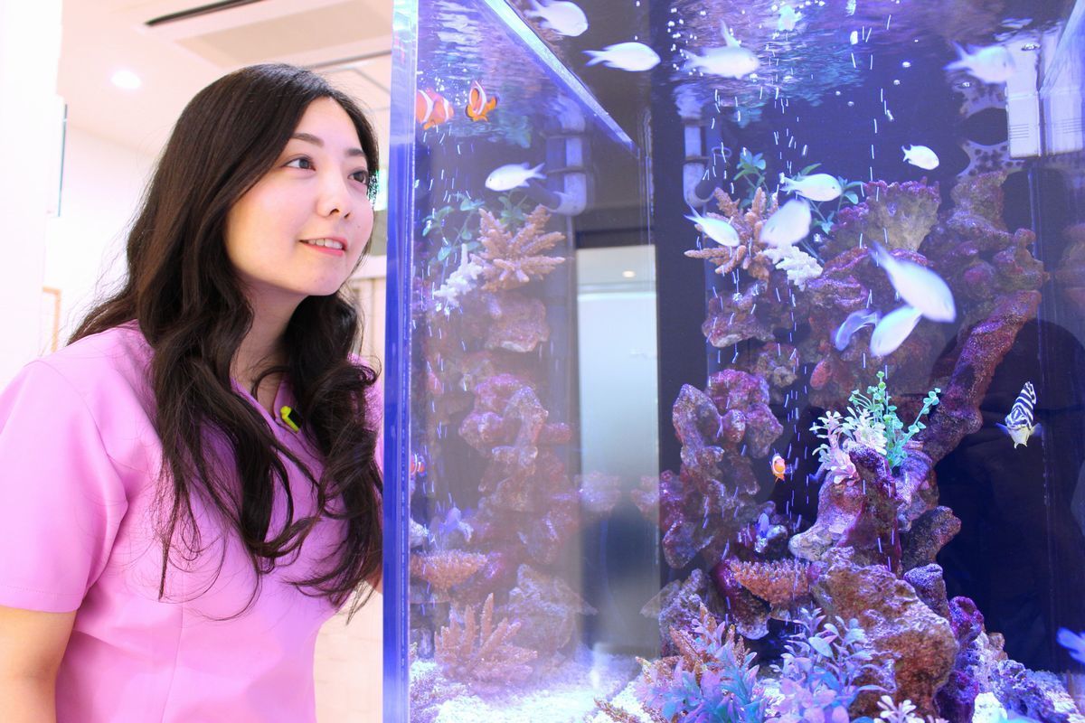 水槽　女性が喜ぶ