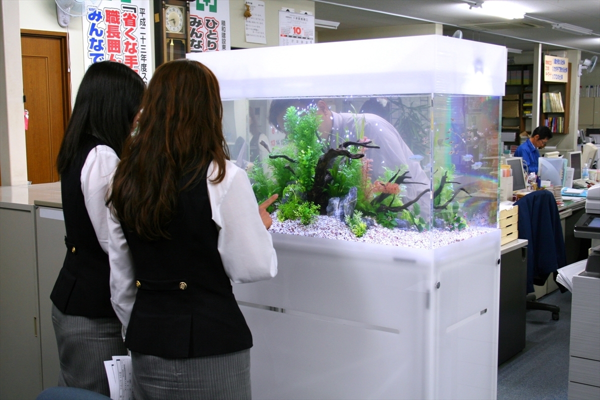 水槽はストレスチェックに効果的