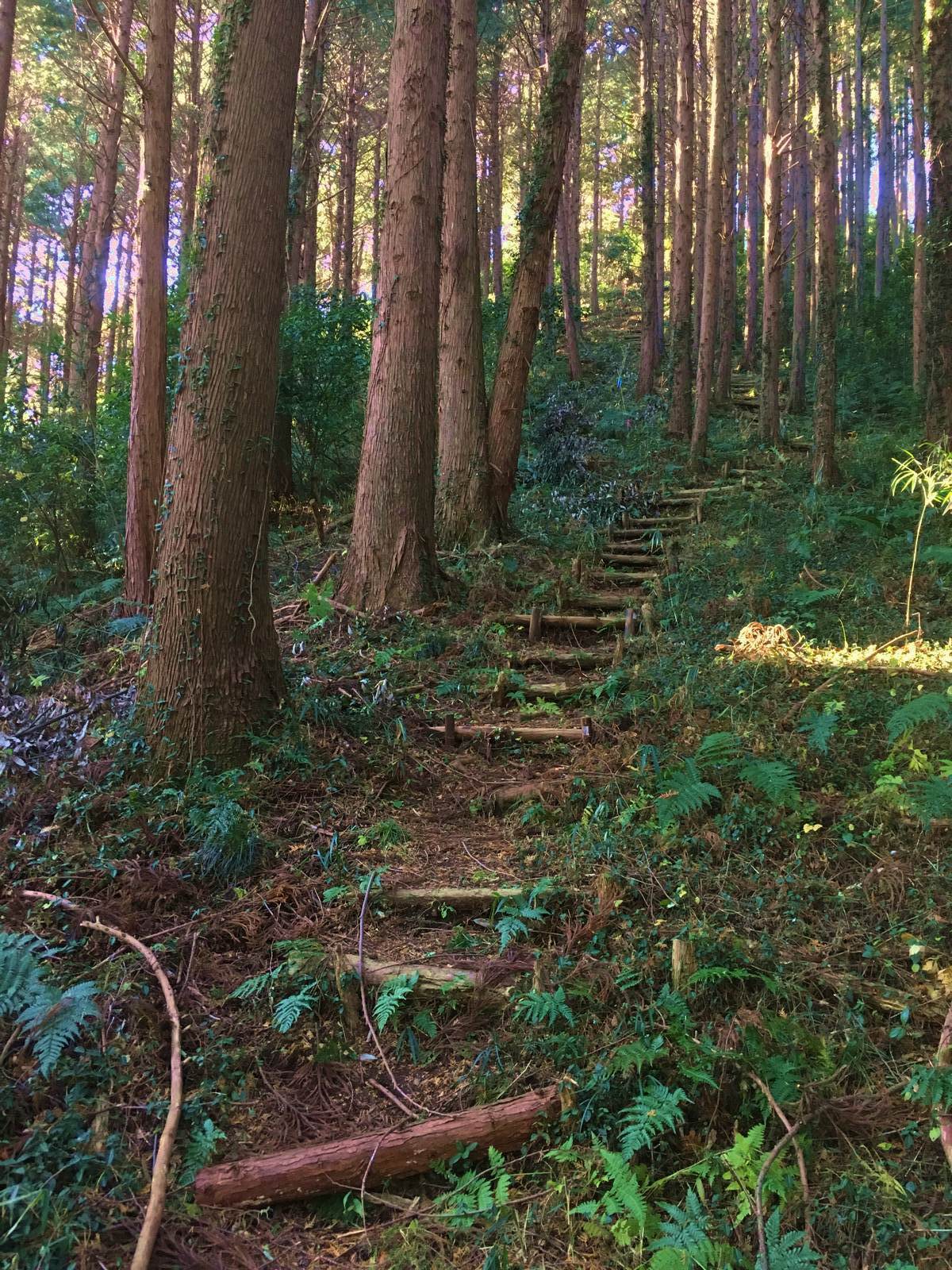 山道