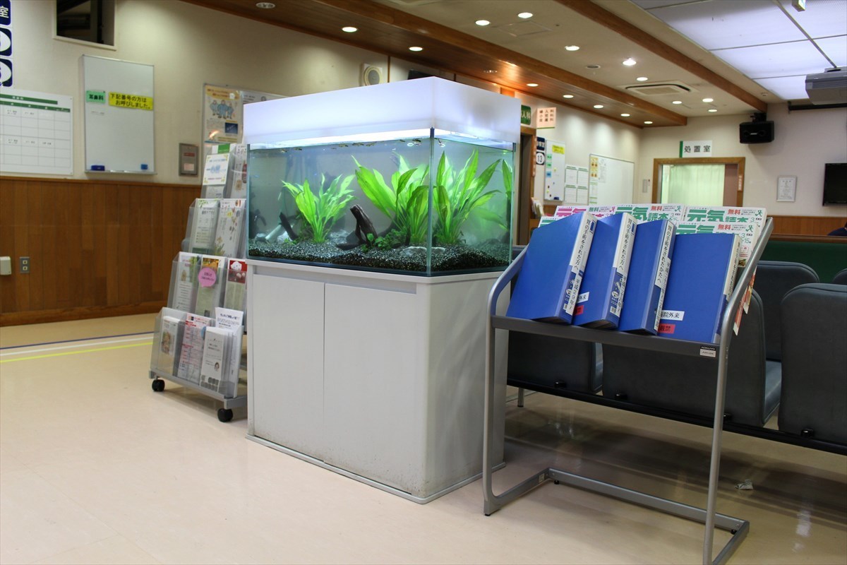 病院　熱帯魚水槽