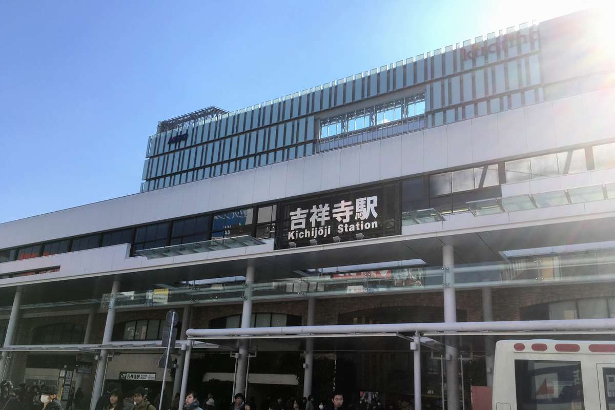 状態のよいシライトイソギンチャク