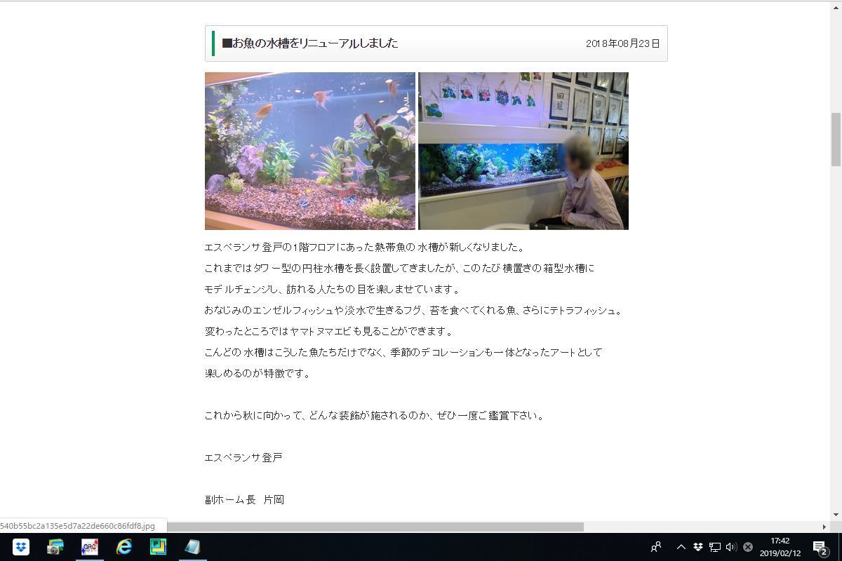 水槽掲載ブログ