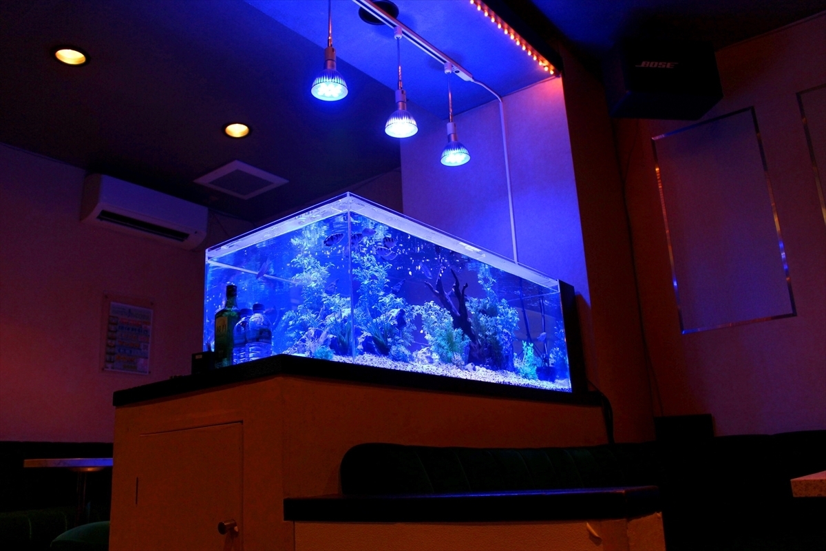 越谷市飲食店　水槽ライティング　LED