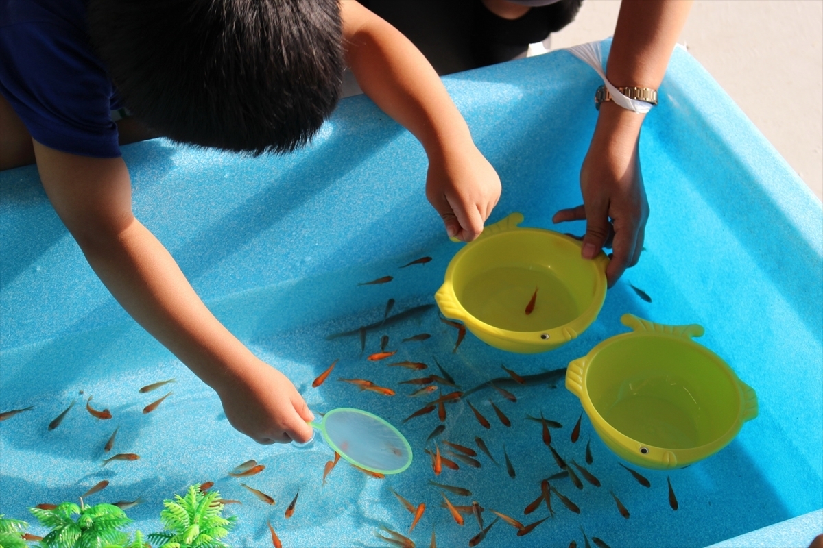 金魚すくい