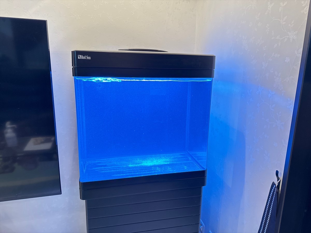 水槽掃除　業者