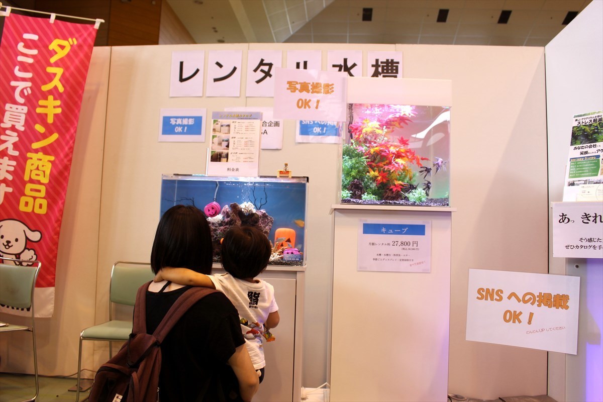こしがや産業フェスタ　レンタル熱帯魚