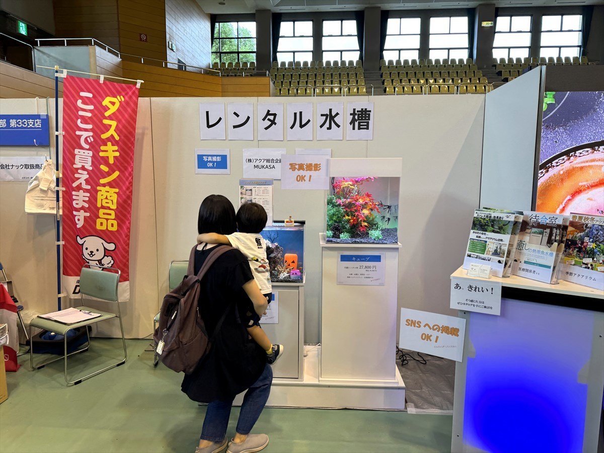 こしがや産業フェスタ　レンタル熱帯魚
