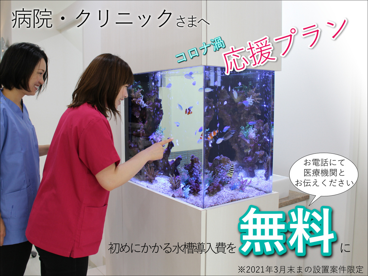 病院 クリニックへのアクアリウム水槽導入を紹介 水槽レンタルサービス 病院 クリニックへのアクアリウム水槽導入を紹介 水槽レンタルサービス