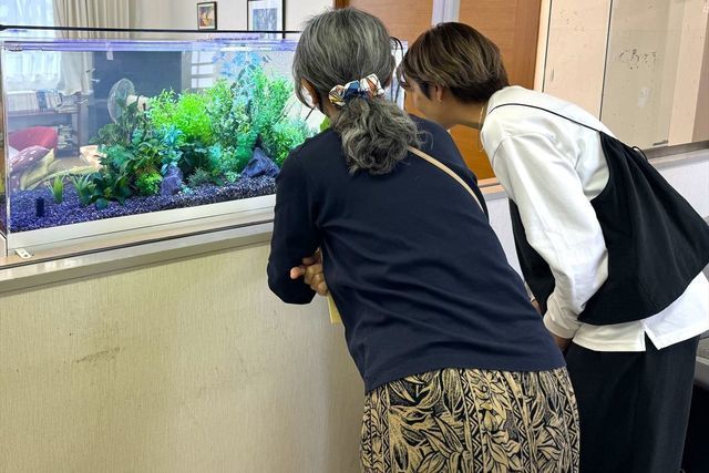 120センチ水槽　水草