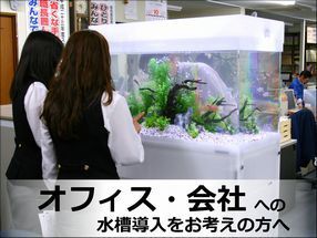 会社への水槽レンタルサービス