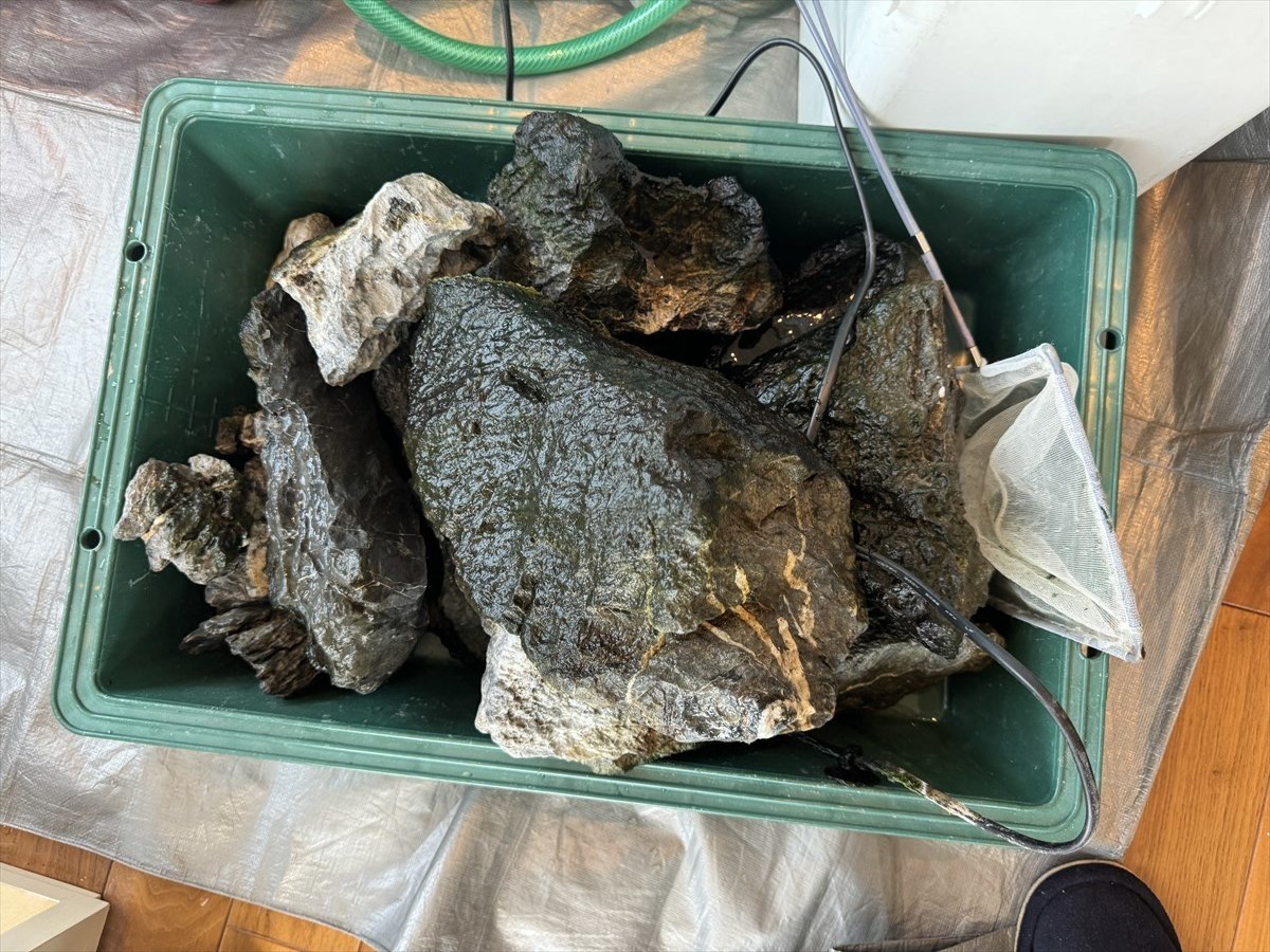 水槽　岩　処分