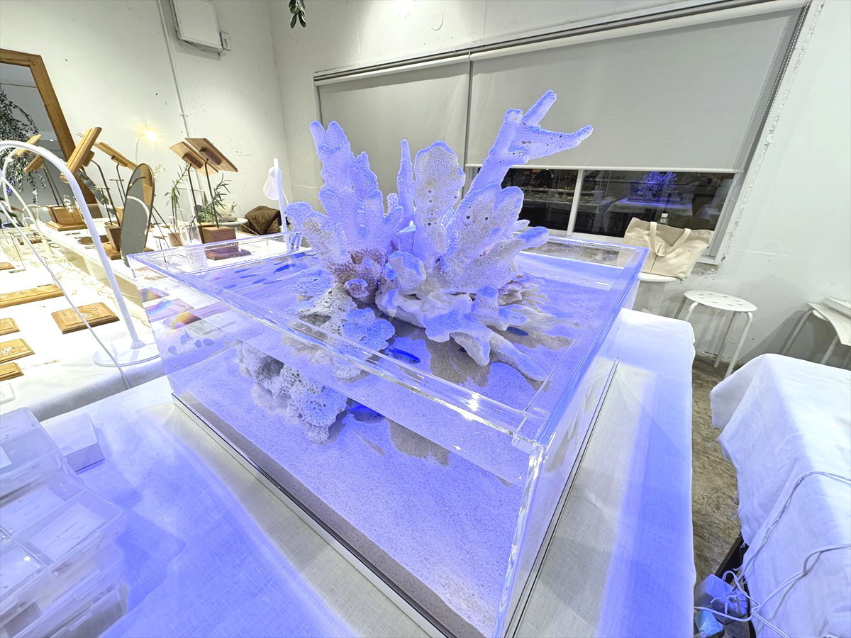 水槽　レンタル