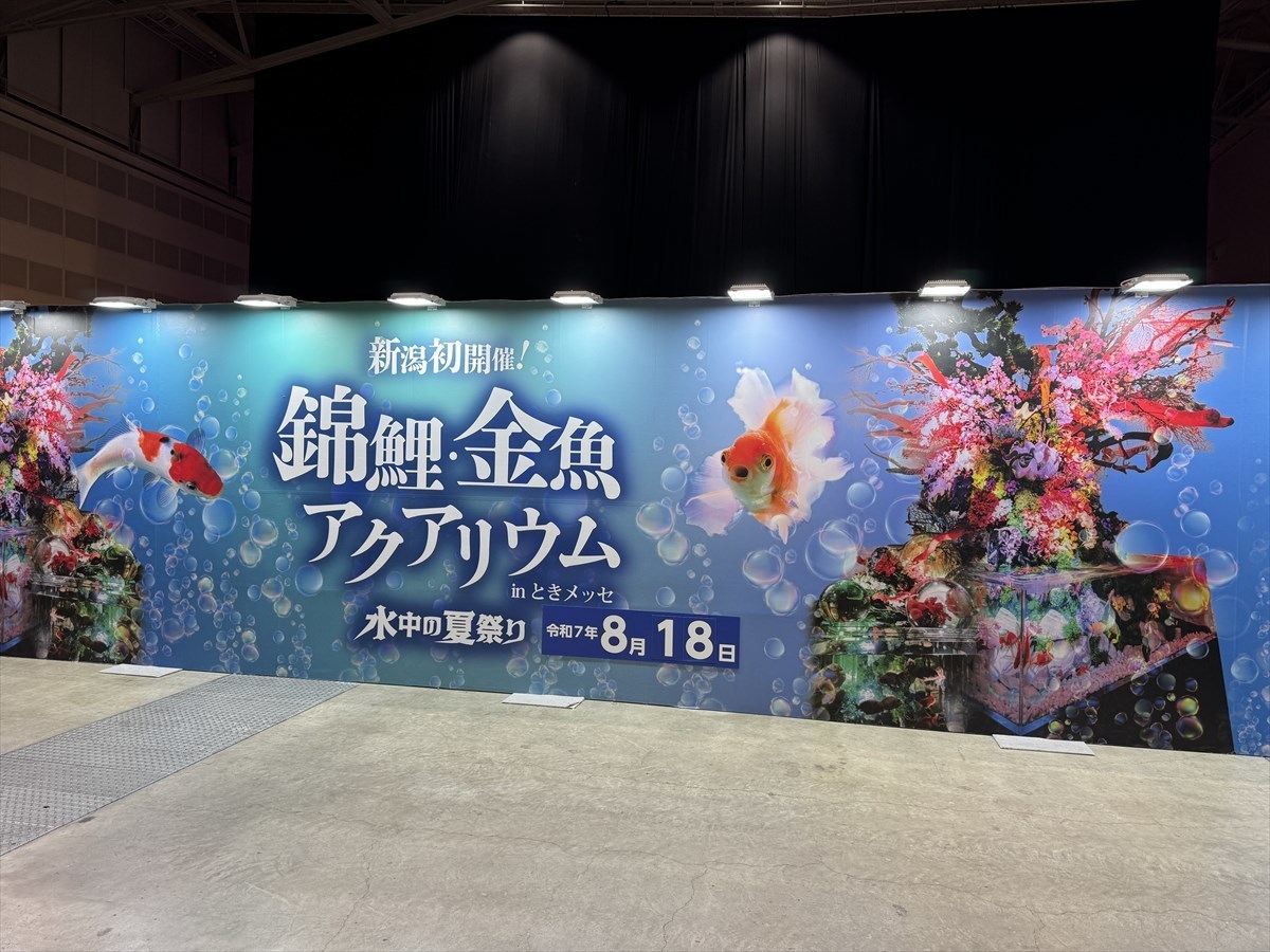 錦鯉・金魚アクアリウム　新潟
