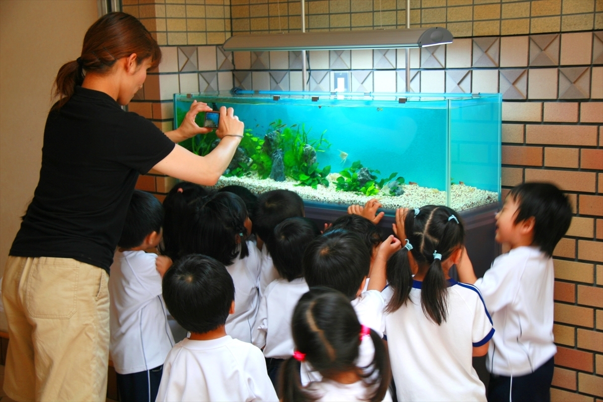 幼稚園　水槽設置