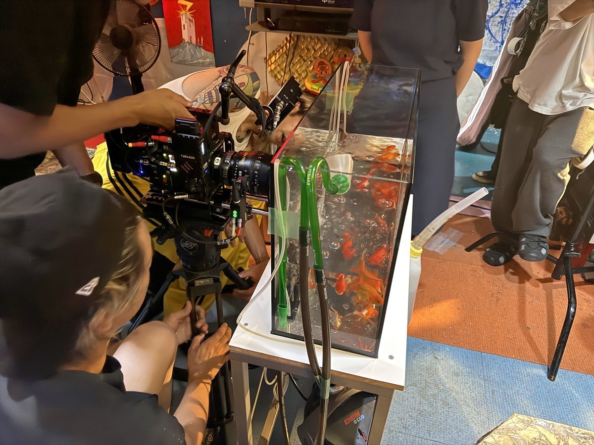 撮影　金魚レンタル