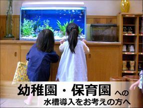 幼稚園保育園への水槽レンタルサービス