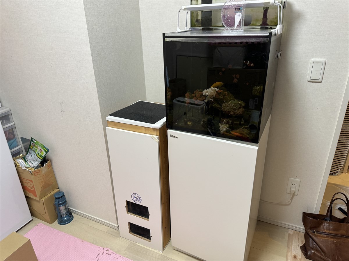 リーファーナノ水槽　仮置き