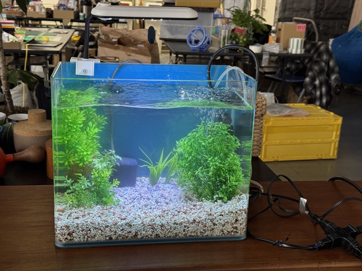 テスト水槽