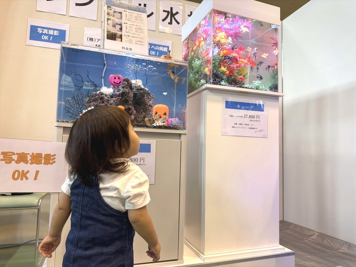 こしがや産業フェスタ　レンタル熱帯魚