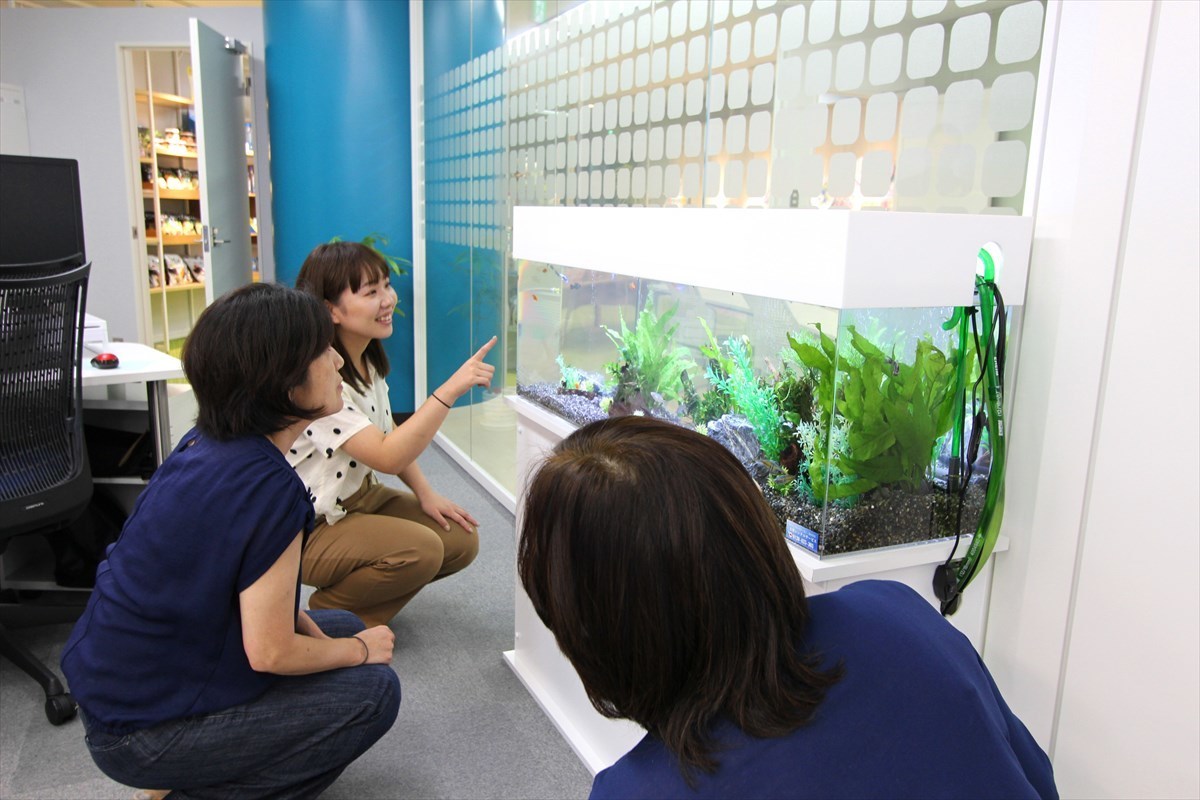 水槽前での光景