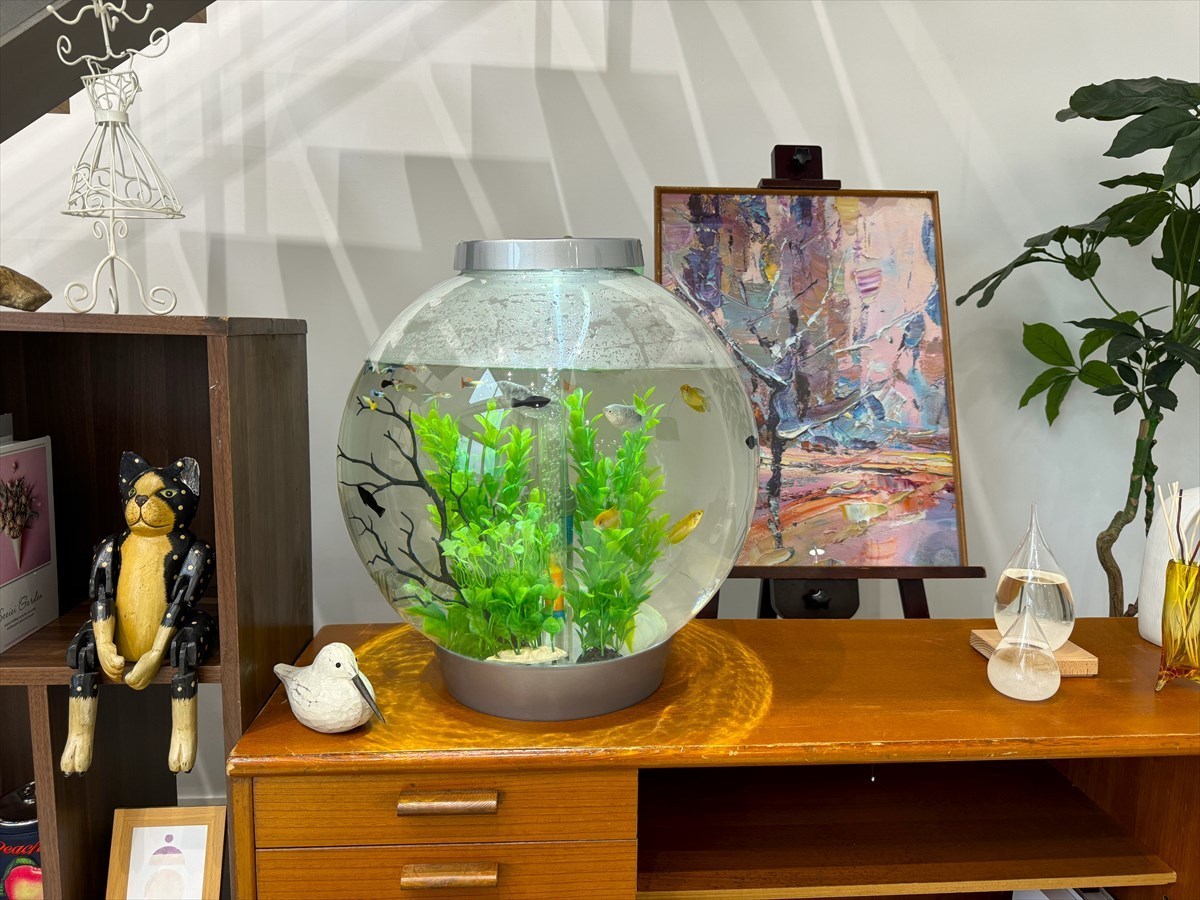 球体水槽