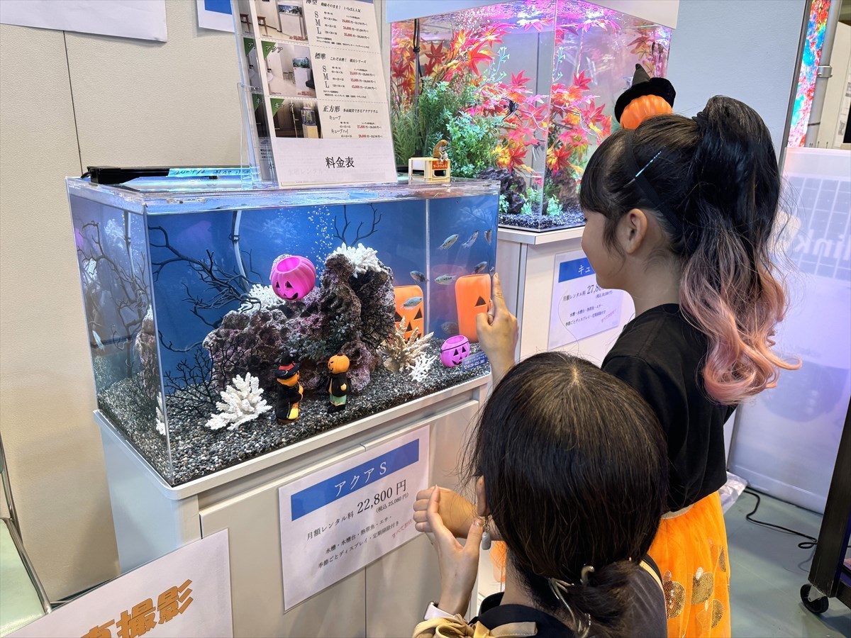 こしがや産業フェスタ　レンタル熱帯魚