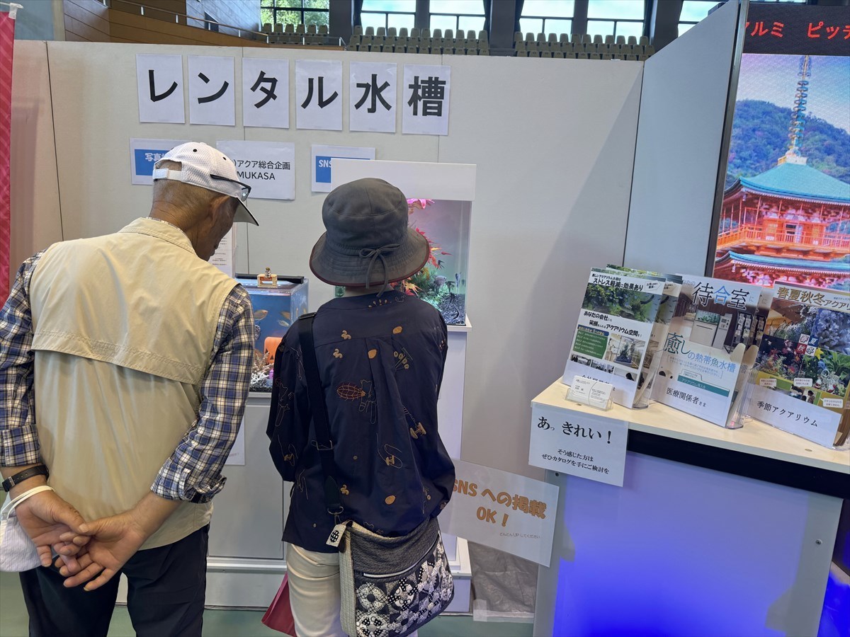 こしがや産業フェスタ　レンタル熱帯魚