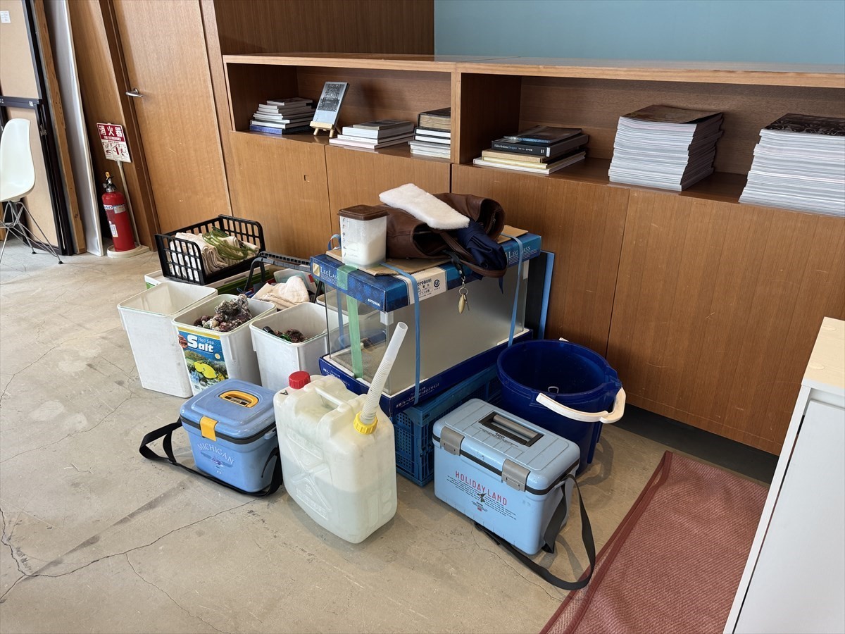 水槽レンタル　撮影