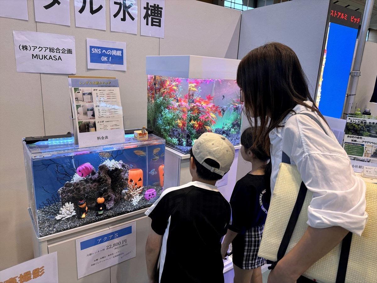 こしがや産業フェスタ　レンタル熱帯魚