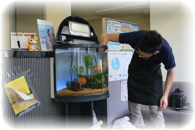 水槽　スポット掃除