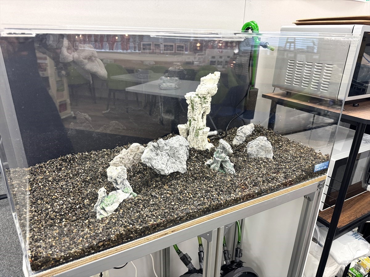 水槽　岩レイアウト