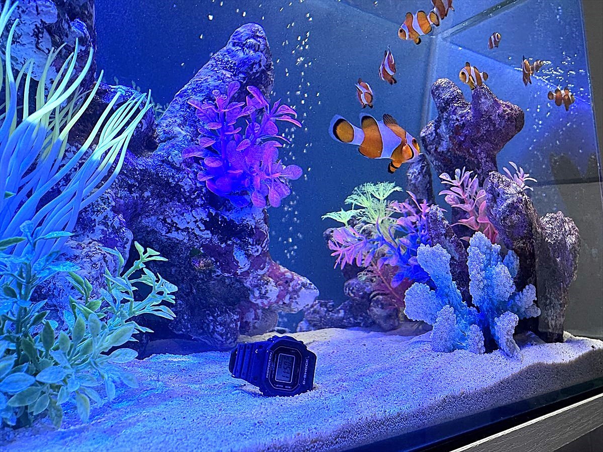 G-SHOCKnano　動画水槽