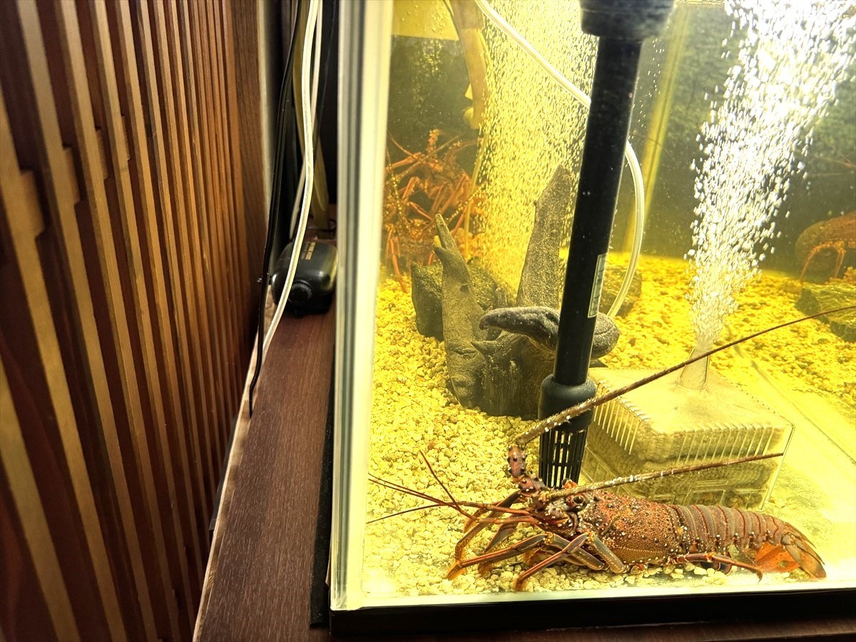 活魚水槽　配管