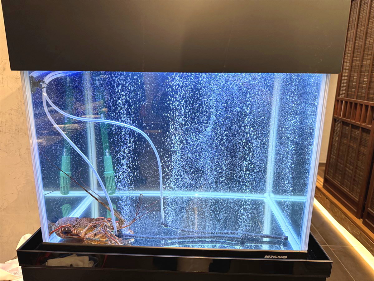 活魚水槽　レンタルサービス