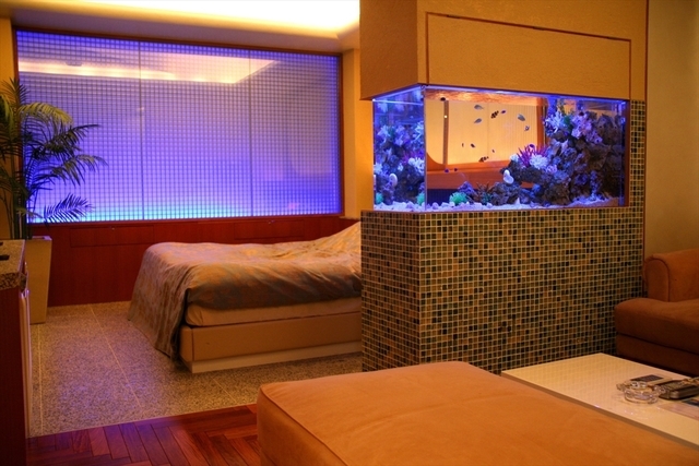 ホテル　海水魚水槽