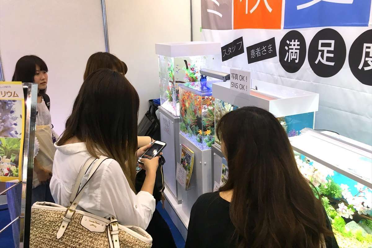 水槽　季節ディスプレイ