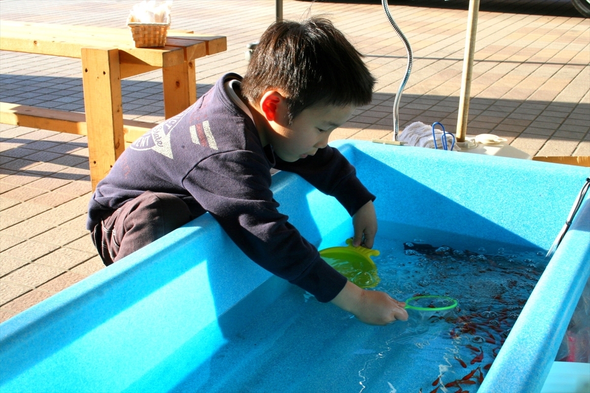 さいたま市ネッツトヨタ　金魚すくい　レンタル