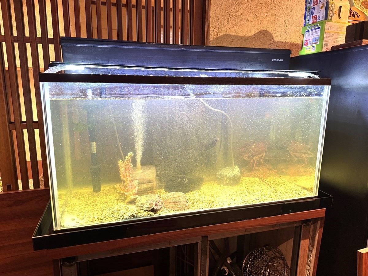 活魚水槽　結露対策