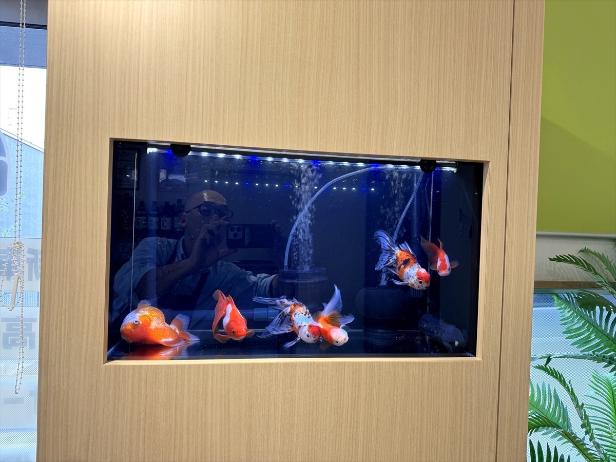 埋込水槽