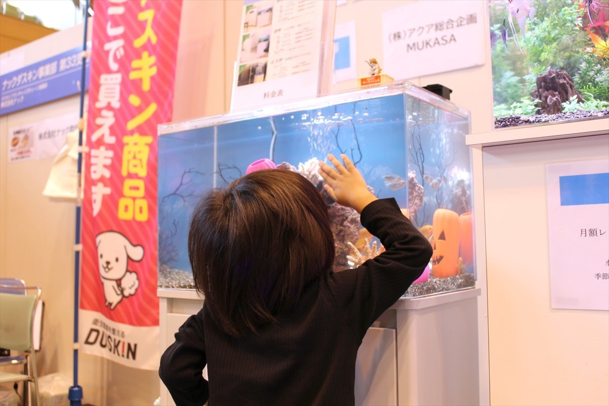 こしがや産業フェスタ　レンタル熱帯魚